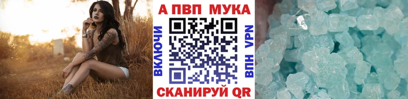 где продают наркотики  Куртамыш  Alfa_PVP СК КРИС 